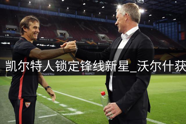 凯尔特人锁定锋线新星 沃尔什获三年长约留队