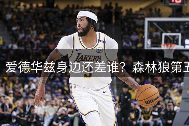 爱德华兹身边还差谁？森林狼第五位首发到底怎么选