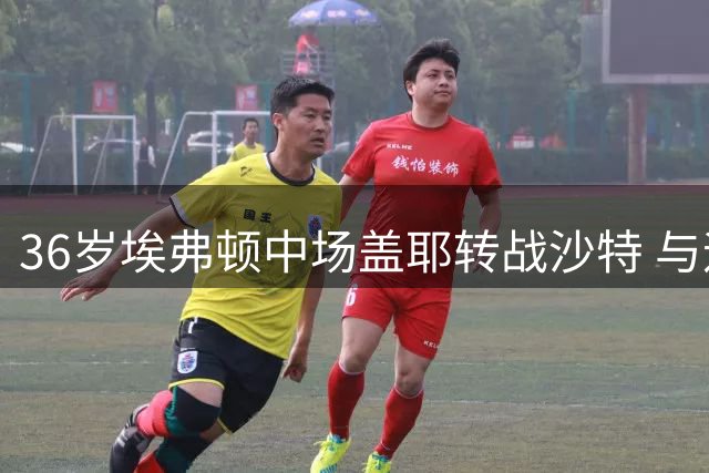 36岁埃弗顿中场盖耶转战沙特 与迪雷禾达成一年短约